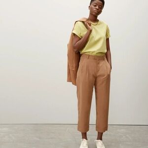 Everlane The Put Together Pleat Pant in Toasted Coconut
